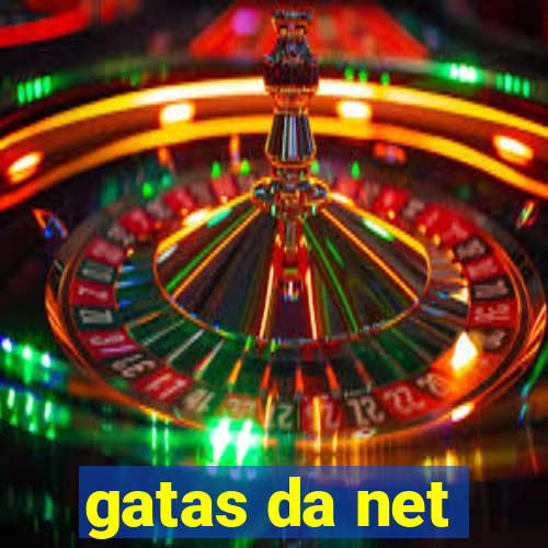 gatas da net